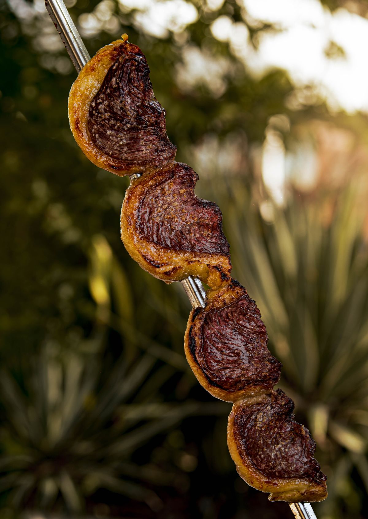 Brazilian Churrasco Skewers