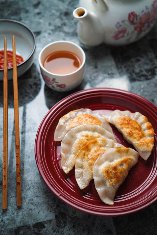Japanese Gyoza Dumplings